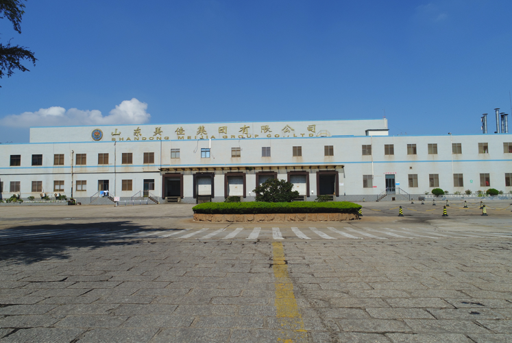 山东美佳集团